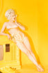 Beaufet Bullet Bra